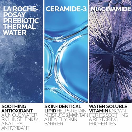Toleriane Hydrating Gentle Facial Cleanser