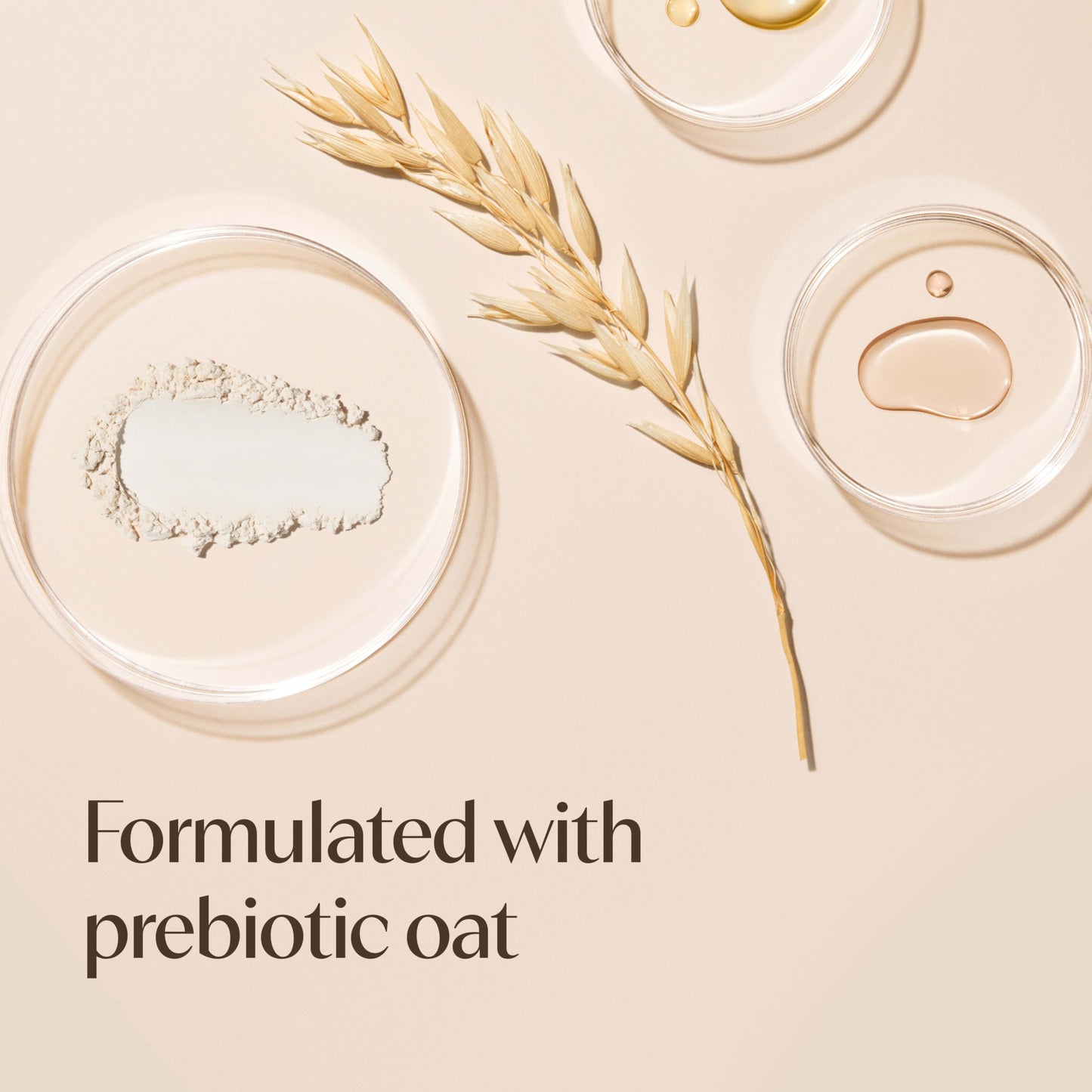 Aveeno Daily Moisturizing Body Lotion