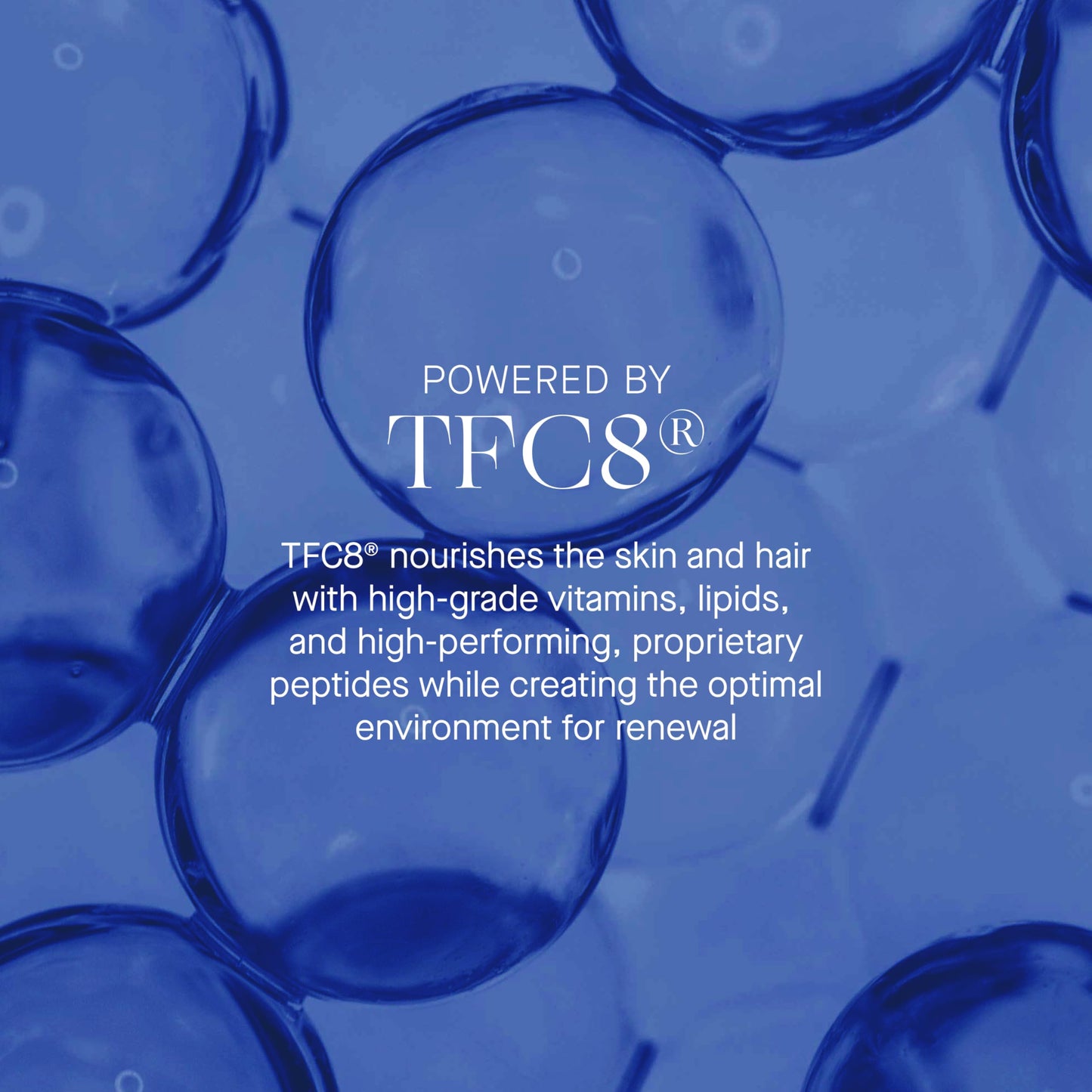The Rich Hydrating Face Moisturizer