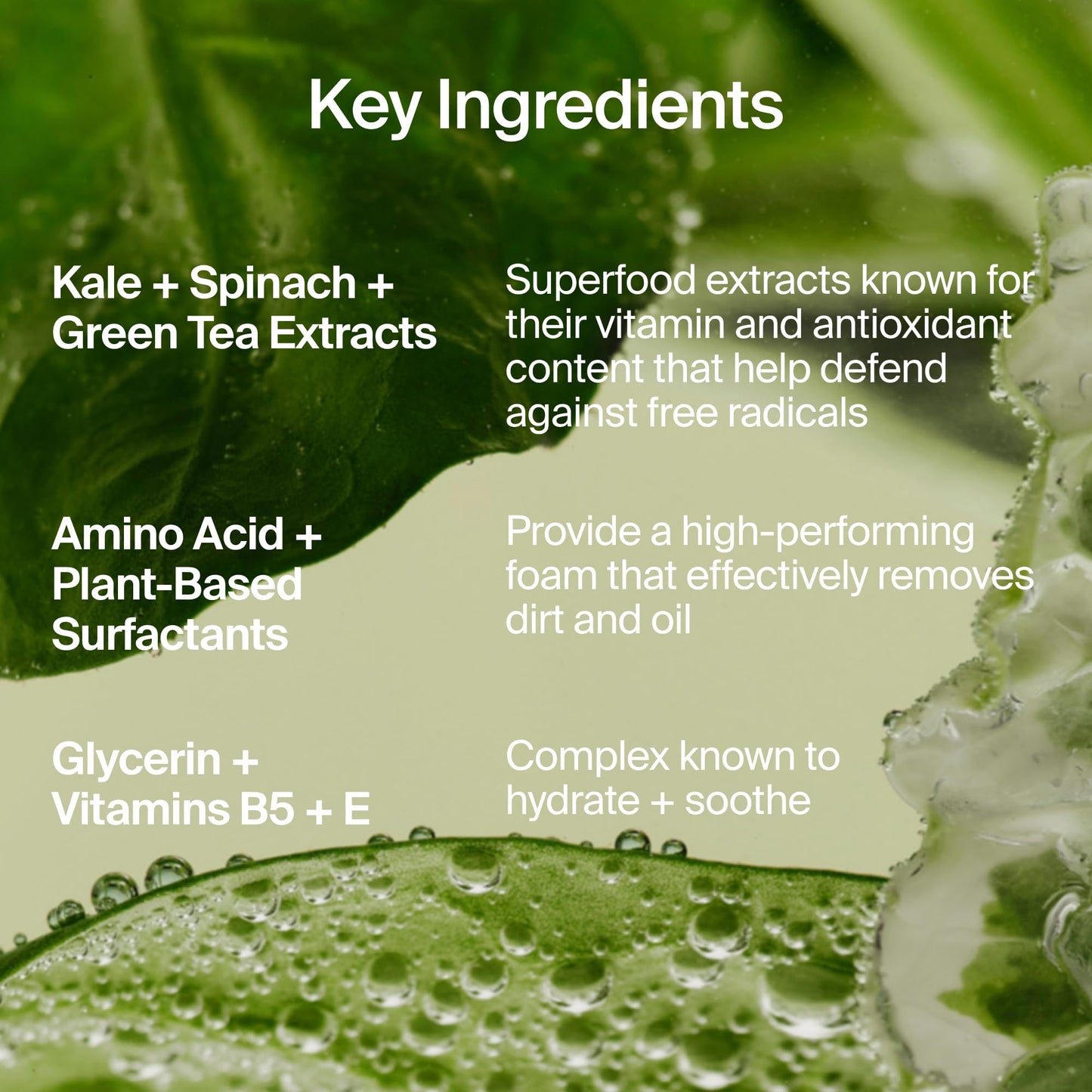 Superfood Kale Green Tea Facial Cleanser
