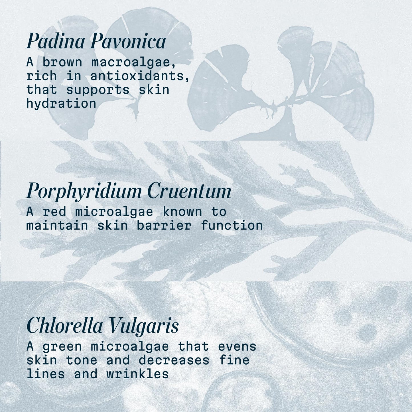 Pro-Collagen SPF 30 Face Moisturizer