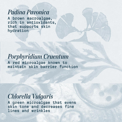 Pro-Collagen Marine Face Moisturizer